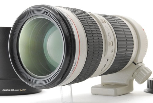 Top mint con cappuccio - con, canon