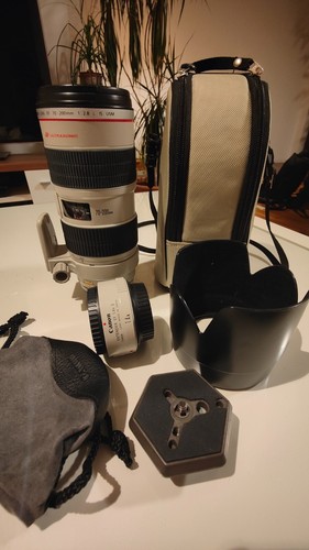 Canon 200 2 8l is - canon, 70-200